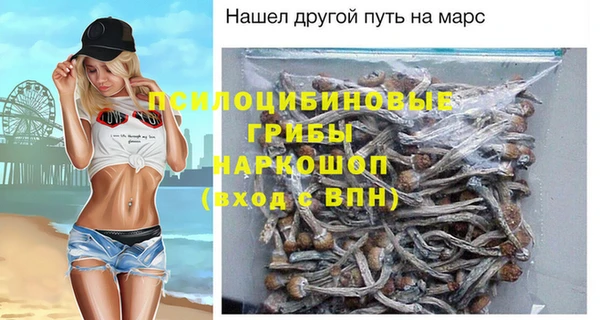 Альфа ПВП Каменногорск