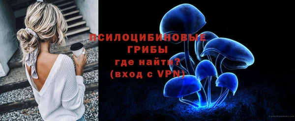 a pvp Каменка