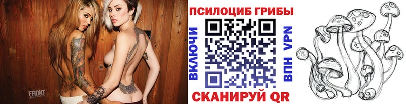 Купить закладки Княгинино Галлюциногенные грибы прущие грибы