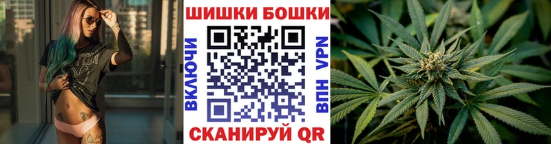 Купить закладки  Княгинино  Каннабис сатива 